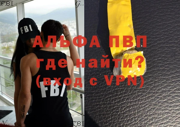 крисы Абаза